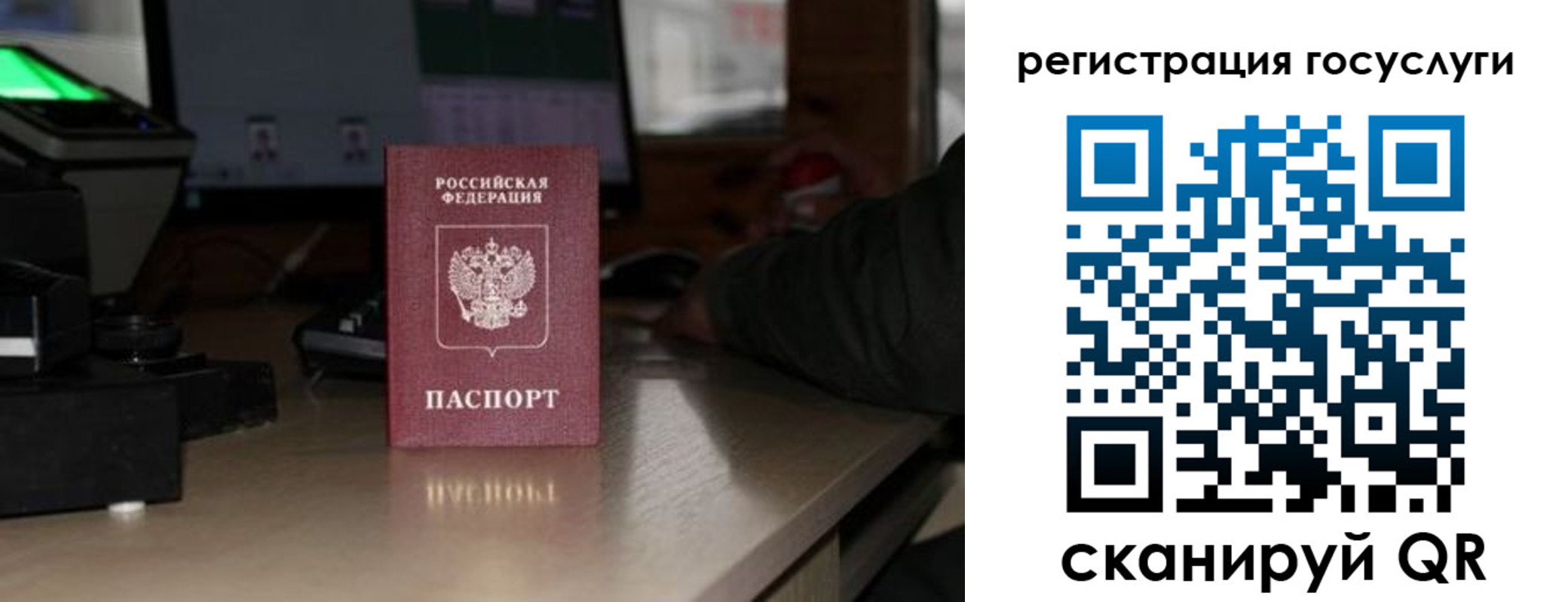 прописка законно в Электрогорске